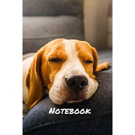 Beagle Notebook: blank lined composition journal | Beagle dog | 100 pages