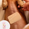 GLADFRESIT Cat Neutering Clothing Kawaii Postpartum Clothes Surgical Recovery Suit