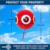 PESTEZE USA Bird Deterrent for Pool Predator Eye Balloon Repellent,