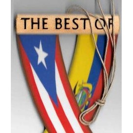 UNITY FLAGZ Puerto RICO and Ecuador Flag Puerto Rican Ecuadorian Caribbean South American Flag Rear View Mirror Hanging CAR Flags Mini Banners for Inside The CAR