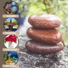 5 lbs Approx. 25 River Rocks Pebbles for Plants Natural