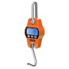 LCD Digital Hanging Scale Handheld 300Kg Mini Crane Scale for