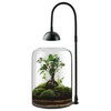 Glass Plant Terrarium, LED Grow Light, Adjustable Ventilation
