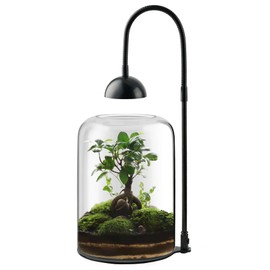 Xyingshine Glass Plant Terrarium with LED Light & Ventilation, Large Terrarium for Venus Fly Trap Live Plant with Ventilation, for Plants Ideal for Succulents, Home Office Desk Decor,8.2" Tall