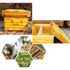 Bee Hive Box, Beeswax Coated Deep Brood Box, Wooden Frames