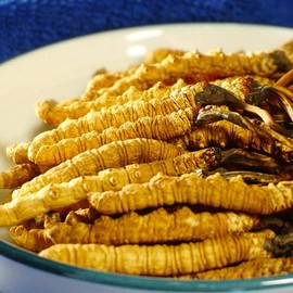 Cordyceps sinensis 100 % Dong Chong Xia Cao Cordyceps sinensis silvestre entero del Himalaya, Cordyceps sinensis 100 %, Cordyceps sinensis orgánico del Tíbet Cordyceps sinensis silvestre entero del Himalaya (12 Gramos)
