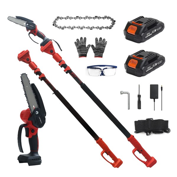 2-in-1 Cordless Pole Saw & Mini Chainsaw with 2 Batteries