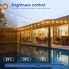 addlon 100FT(50FT*2) LED Outdoor String Lights Waterproof Patio Lights with