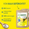 Maxxi Clean | 1x 900 g Zitronensäure Pulver in Lebensmittelqualität