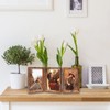 TOFOREVO 5x7 Triple Picture Frame Rustic Brown Wooden Hinged Beveled