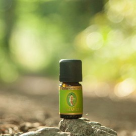 Primavera Single Essential Oil Swiss Spine Bio 5ml PV10597