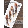 Firefly Squid Dry (7.1 oz (200 g) (3.5 oz (100