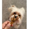 Snack 100% Natural para Perros, 15 Piezas, Crujientes, Deliciosas y