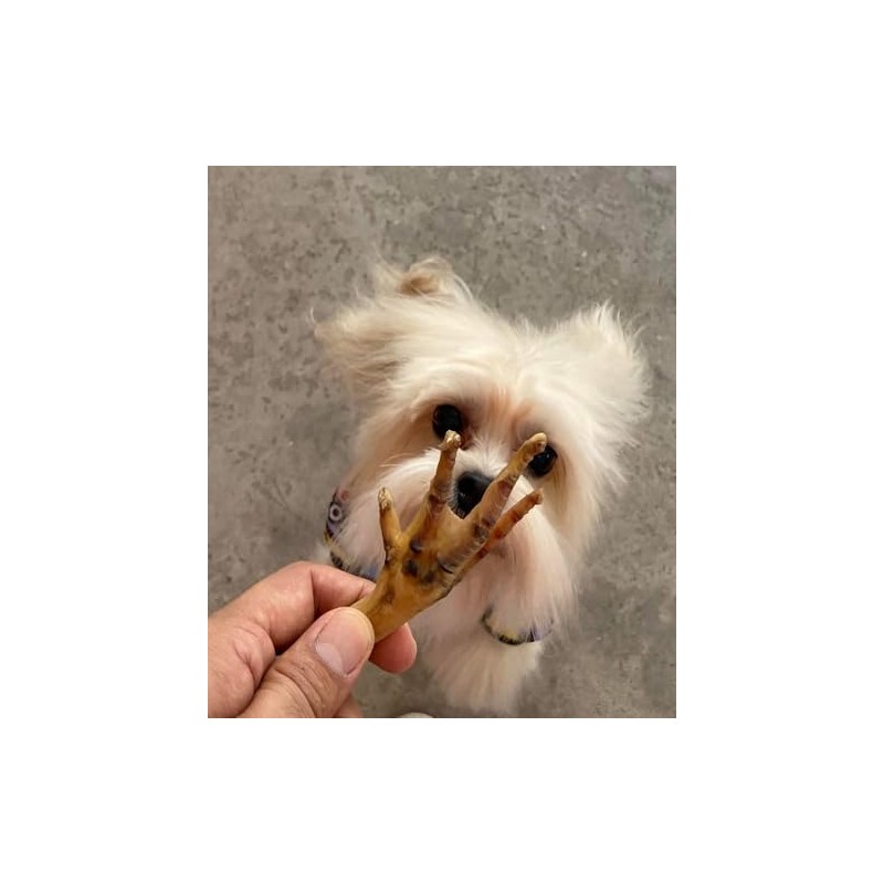 Snack 100% Natural para Perros, 15 Piezas, Crujientes, Deliciosas y