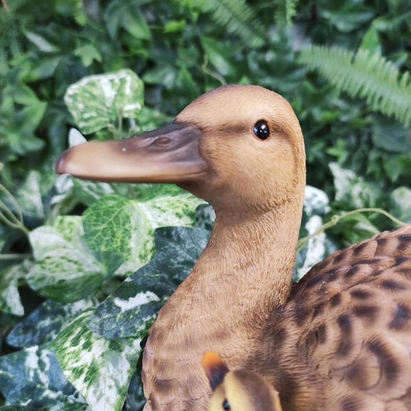 Vivid Arts - Mother Duck & Ducklings -