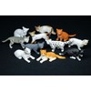 Miniblings Set of 10 Cat Figures Kitten Breed Cats House