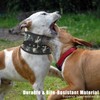 Aoneky Professional Hunting Dog Neck Protector – Durable Bite-Resistant Protective
