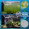 Aquarium U-V Filter 158GPH for 10-45 Gallon Small Betta Fish