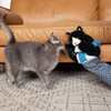 BNJCXQPK Cat Wrestling Toys Puppet, Wrestling Toys, Cats Wrestling Glove,
