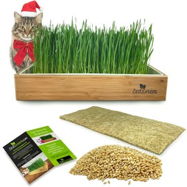 Self-Watering Cat Grass Kit. Hands Down The Easiest Way to Grow Cat Grass. Includes Everything for a Big, Healthy Crop.