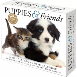 Gladstone Media, Puppies and Friends 2023 Desk Calendar Baby Animal Photography