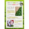 Ureshino Tea Lucky Bag Green Tea Leaf 100% Ichiban Tea