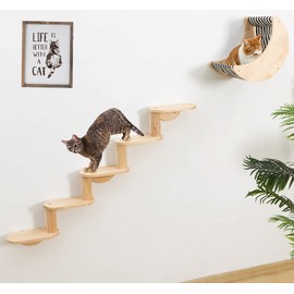 Cat Shelf for Wall Mount Hammock with 5-Levels Climbing Ladder Moon Cat Shelves and Perches for Activity Indoor Cats Wall Furniture(5-Levels Steps)