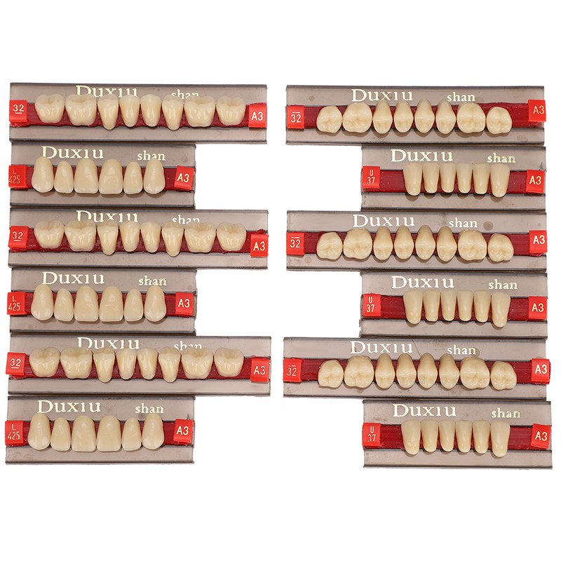 Dental Synthetic Resin False Teeth Dental Material Teeth Denture Dentist