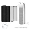 Pure Enrichment Genuine 2-in-1 True HEPA Replacement Filter for the