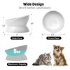 Ewenono 1 Pack White Cat Bowl with Tilted＆Elevated Design,Which Can