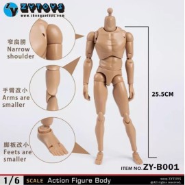 ZY TOYS 1/6 scale Male Body Narrow Shoulder Figure as hot toys TTM18 TTM19 TTM21