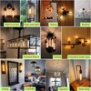 NOVELUX 7.3 Inch E26 Led Bulb 6W Dimmable, 2700K Soft