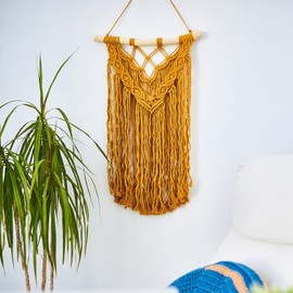 zalati Driftwood 250g Wood Natural Trunk Sticks for Reptile Fish Tank Stump Ornament DIY Craft