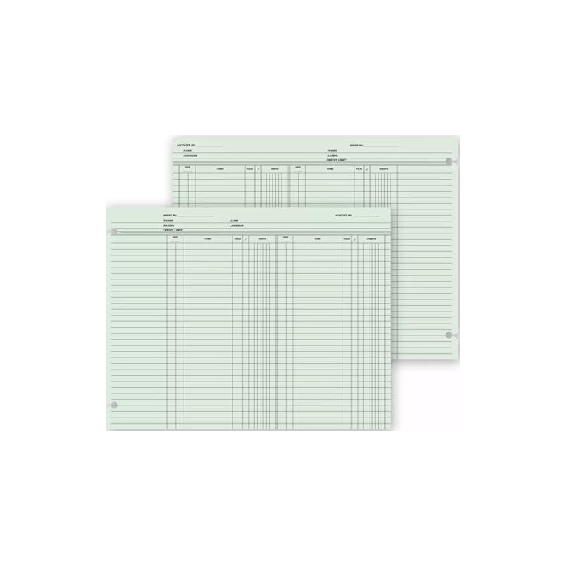 Ledger Sheets - Double Entry