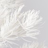 Earth Farms Preserved miriokuradasu # Green do000160 – 700 