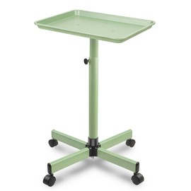 Salon Tray, Metal Feet Salon Rolling Tray Cart, Salon Tray on Wheels with Adjustable Height, Salon Color Tray Ideal Use As Tattoo Tray, Medical Tray, Dental Tray…