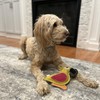 SPOT Dura-Fused Colors Parrot - Colorful Leather Dog Toys with