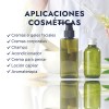 Aceite Esencial Eucalipto Puro, Aromaterapia, Spa, Hebbe 50ml