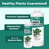 TPS NUTRIENTS Jade Fertilizer for All Jade and Crassula Plants,