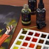 Artfinity Liquid Watercolor Paint 30 ml Bottle - 3 Pack,