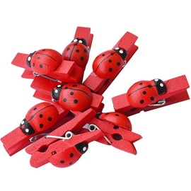 C.X.Y. 48 Wooden Clothes Pegs with Ladybird for Labelling Places, Sealing Packages, Use as Gadgets