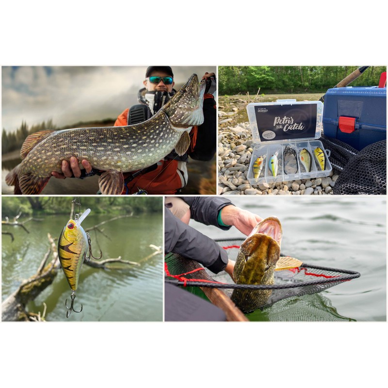 PetrisCatch Crankbait Wobbler Set of 4 + 4 Steel Leaders,
