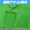 Fairy Tail Photo Keychain, Hamepachi Photo Keychain, Photo Frame, Photo