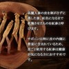 【リプサ公式】 高麗紅参 約3か月分×2袋 C-175-2 サプリメント
