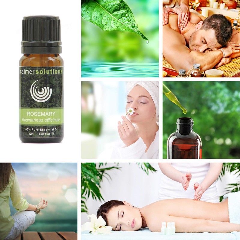 Rosemary 100% Pure Essential Aromatherapy Oil 10ml