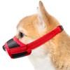 Adjustable Anti Bark Muzzle for Small Dogs - Breathable Mesh