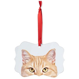 Funny Curious Ginger Tabby Cat Peeking Look Out Christmas Ornaments Benelux Aluminum - Kitten Owners Gift
