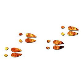 Buck Deer Tracks - Vinyl Decal Sticker - 9" x 3.75" - Orange Flames