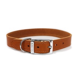 Ancol Heritage Comfortable Die Cast Fitting Leather Dog Collar - Tan Bridle Leather Pet Training Accessory - Durable Supple Design for Puppies and Dogs - 26-31cm Size 2