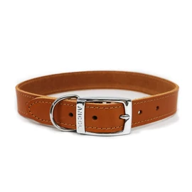 Ancol Heritage Comfortable Die Cast Fitting Leather Dog Collar - Tan Bridle Leather Pet Training Accessory - Durable Supple Design for Puppies and Dogs - 26-31cm Size 2